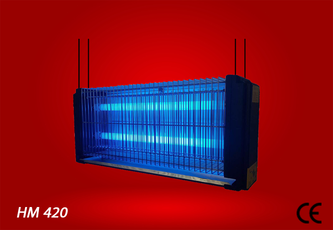 ELEKTRO FROG / HM 420  (HOME MODEL)
